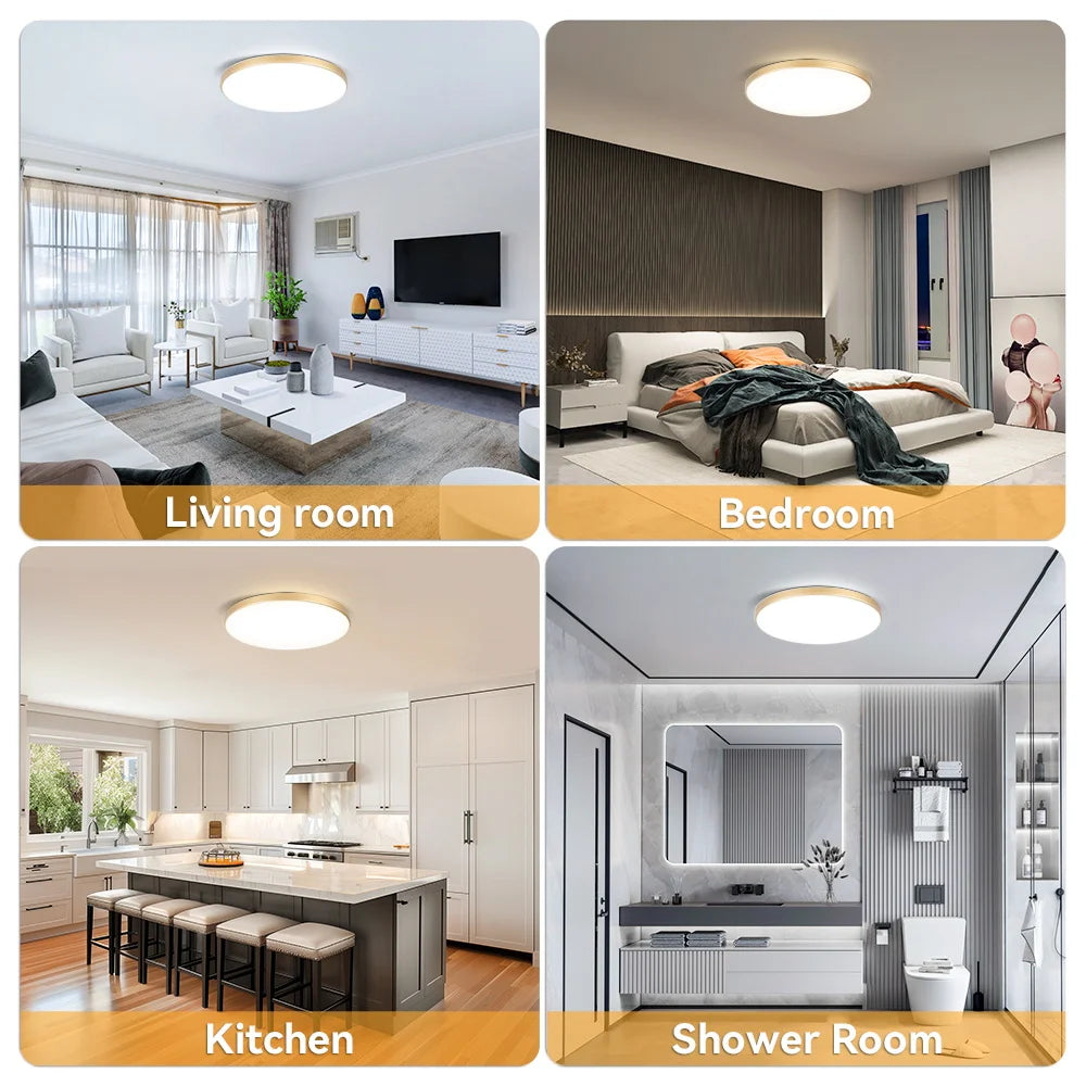 LED Ceiling Lamp Chandelier 3-color changeable Panel Lamp Living Room Ceiling Light Indoor Lighting for Bedroom Kitchen Luminair